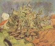 Vincent Van Gogh Landscape with Three and a House (nn04) oil on canvas